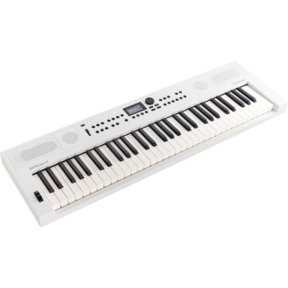Roland GO:КЛАВИШИ 5 ВТЧ Roland GO:KEYS 5 WH