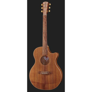 Cole Clark TL2EC-Тонкая линия BLBL Cole Clark TL2EC-BLBL Thin line