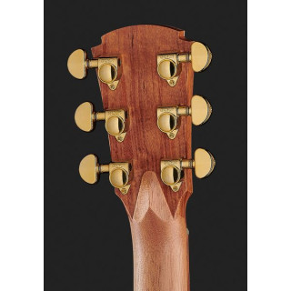 Cole Clark TL2EC-Тонкая линия BLBL Cole Clark TL2EC-BLBL Thin line