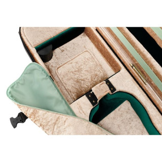 Артонус Джистон Скрипка CKZ Artonus Geeston Violin CKZ