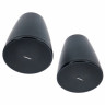 Bose Professional DesignMax DM5P black Bose Professional DesignMax DM5P black