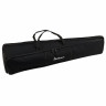 Startone PTB-20 Bb/F- Золотой тромбон Startone PTB-20 Bb/F- Trombone Gold
