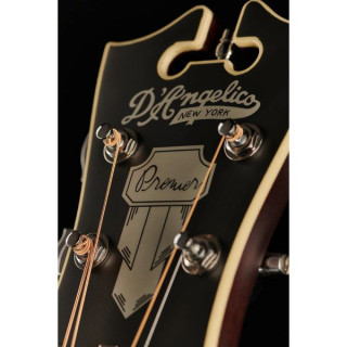 Данжелико Премьер Лексингтон LS SVSB DAngelico Premier Lexington LS SVSB