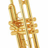 Труба Schagerl Roman Empire Bb-Trumpet G Schagerl Roman Empire Bb-Trumpet G