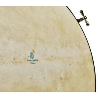 Thomann BDTV28/25P Концерт Thomann Thomann BDTV28/25P Thomann Concert