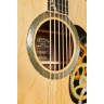 Гитары Martin D-200 Deluxe Martin Guitars D-200 Deluxe