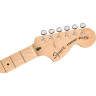 Сквайр Паранормальный Эсквайр Делюкс МО Squier Paranormal Esquire Deluxe MO
