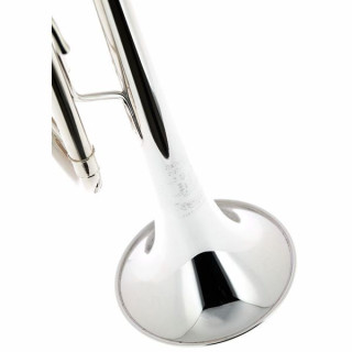 B&S 3137/2T-S PCL Филип Кобб B&S 3137/2T-S PCL Philip Cobb