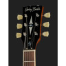 Винтажная серия Harley Benton SC-450Plus GT Набор №561016 Harley Benton SC-450Plus GT Vintage Series Bundle №561016