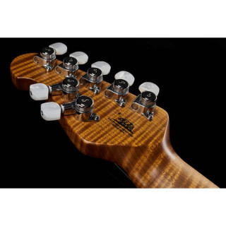 Музыкант Петруччи JP15 7 Тигровый глаз FT Music Man Petrucci JP15 7 Tiger Eye FT