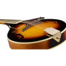 Эпифон ММ-30 Epiphone MM-30