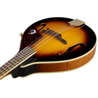 Эпифон ММ-30 Epiphone MM-30