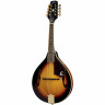 Эпифон ММ-30 Epiphone MM-30