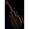 Такамин GN75CETBK Набор №603448 Takamine GN75CETBK Bundle №603448