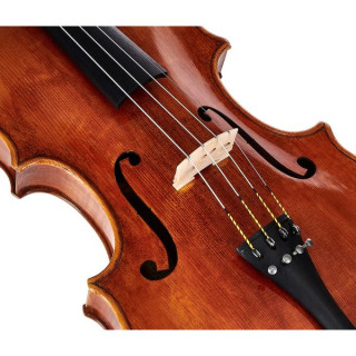 Бернд Хиллер и Сон Паоло Тесторе Виола Bernd Hiller & Sohn Paolo Testore Viola