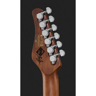 Традиция шектера Ника Джонстона. SSS АО Schecter Nick Johnston Tradit. SSS AO