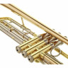 Труба Yamaha YTR-8335RG 04 Trumpet Yamaha YTR-8335RG 04 Trumpet
