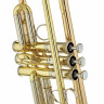 Труба Yamaha YTR-8335RG 04 Trumpet Yamaha YTR-8335RG 04 Trumpet