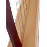 Арфа Lyon & Healy Troubadour VI Lever Harp MA Lyon & Healy Troubadour VI Lever Harp MA