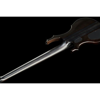 ESP LTD F-1005 STBLK ESP LTD F-1005 STBLK