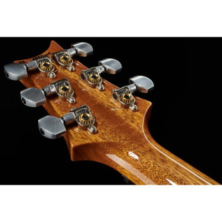 Полуакустическая гитара PRS Special 22 Semi-Hollow CH PRS Special 22 Semi-Hollow CH