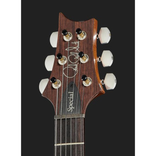 Полуакустическая гитара PRS Special 22 Semi-Hollow CH PRS Special 22 Semi-Hollow CH