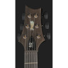 PRS 40-летие Custom 24 CSB PRS 40th Anniversary Custom 24 CSB