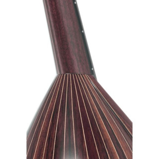 Ацуши Мияно Мандолина с круглой спинкой M-1S RG Atsushi Miyano Round Back Mandolin M-1S RG