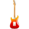 Fender Player плюс Strat MN TQS Fender Player Plus Strat MN TQS