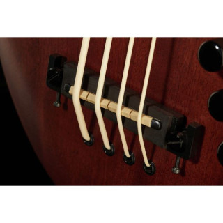 Gold Tone ME-БАС/безладовый Gold Tone ME-BASS/Fretless