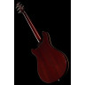 Электрогитара Harley Benton CST-24HB Tortoise Flame Набор №541229 Harley Benton CST-24HB Tortoise Flame Bundle №541229