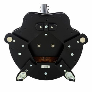 Арфа Salvi Ana Deluxe Ebony Salvi Ana Deluxe Ebony