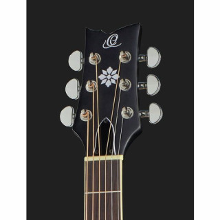 Банджо Ortega OBJE356-SBK Ortega OBJE356-SBK