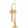 Kühnl & Hoyer Topline Bb-Труба GM Kühnl & Hoyer Topline Bb-Trumpet GM