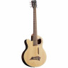 Акустическая бас-гитара Warwick Alien Deluxe 6 NT LH