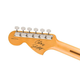 Fender LTD Шифлетт Теле Dlx CFM Fender LTD Shiflett Tele Dlx CFM