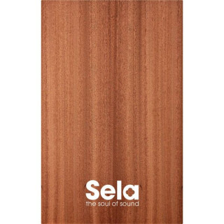 Sela SE 019 Передняя панель Cajon SE001 Sela SE 019 Cajon Front Plate SE001
