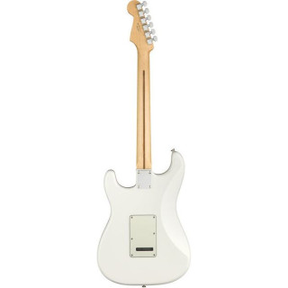 Электрогитара Fender Player Series Strat PF PWT Fender Player Series Strat PF PWT