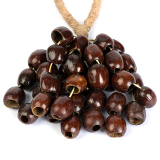 Сэла Сeed Shaker 4-Ряд Пала Sela Seed Shaker 4-Row Pala