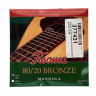Струны для мандолы Fisoma F3120D Mandola Strings 80/20 Fisoma F3120D Mandola Strings 80/20