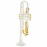 Schagerl Roman Empire Bb-Труба S Schagerl Roman Empire Bb-Trumpet S