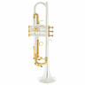 Schagerl Roman Empire Bb-Труба S Schagerl Roman Empire Bb-Trumpet S