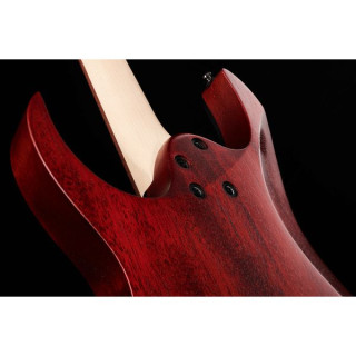 Электрогитара Ibanez RG421PB-CHF Ibanez RG421PB-CHF
