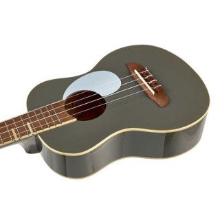 Ортега РУГА-Гавайская гитара PLT Ortega RUGA-PLT Ukulele