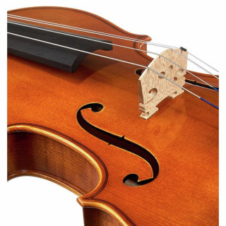 Альт с набором Karl Höfner Concertino Viola Set 15" Karl Höfner Concertino Viola Set 15"