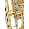 Туба B&S 3100/W-L (PT-12) F-Tuba