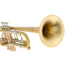Феникс B1 Bb-Тромбон Fenix B1 Bb-Trumpet