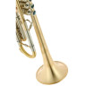 Феникс B1 Bb-Тромбон Fenix B1 Bb-Trumpet