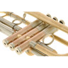 Феникс B1 Bb-Тромбон Fenix B1 Bb-Trumpet