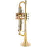 Феникс B1 Bb-Тромбон Fenix B1 Bb-Trumpet